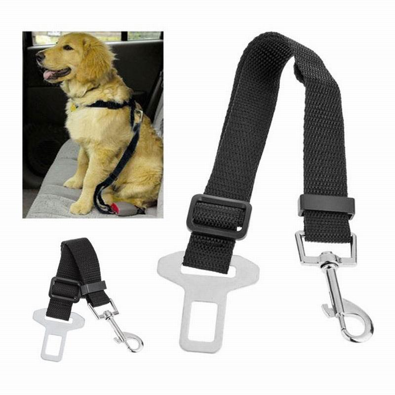 Cinturones de seguridad para perros