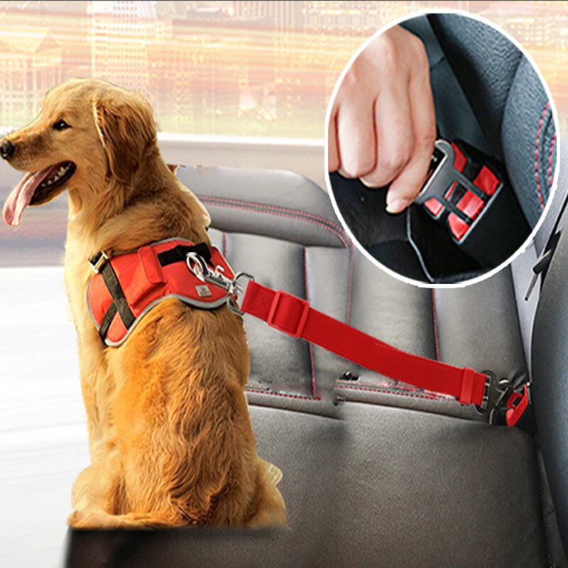cinturon de seguridad para perros bogota